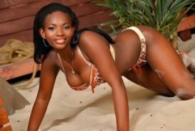 Индивидуалка Pamela